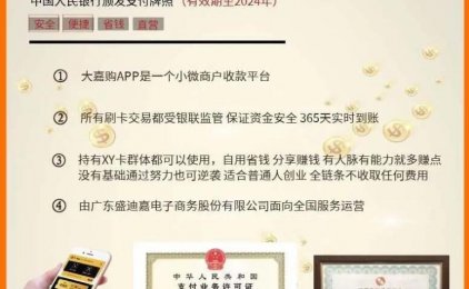 大嘉购是什么?盛迪嘉支付直营产品大嘉购安全稳定