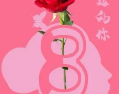 妇女节 致敬了不起的你们