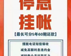 债无U唯一一家停息挂帐，协商分期2.0模式平台
