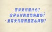 宝贝支付是什么？宝贝支付的优势有哪些？宝贝支付政策是怎么样的？