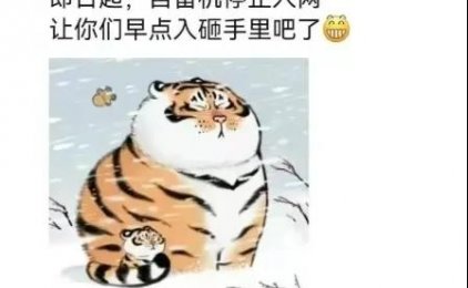 POS圈:进入年底业务高峰期,XX宝竟然暂停自备机入库……