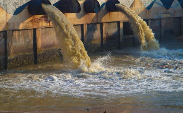 适合农村的创业项目，小投资也能日赚500元！