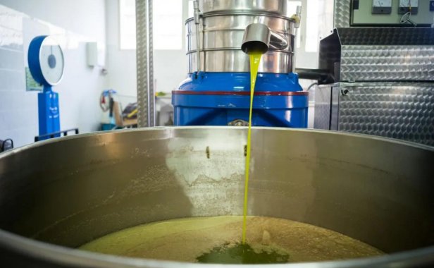 适合40-50岁的人做，一天收入3600元！农村又一赚钱生意