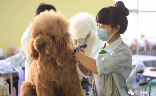 2022年哪些冷门行业值得投资?推荐月入2万的小生意!