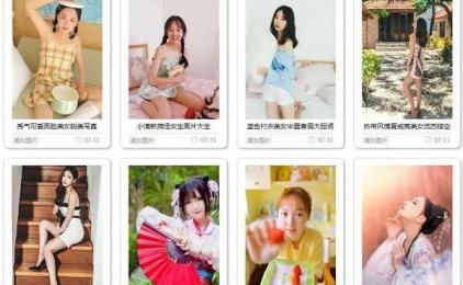 灰色项目之美女图片网站