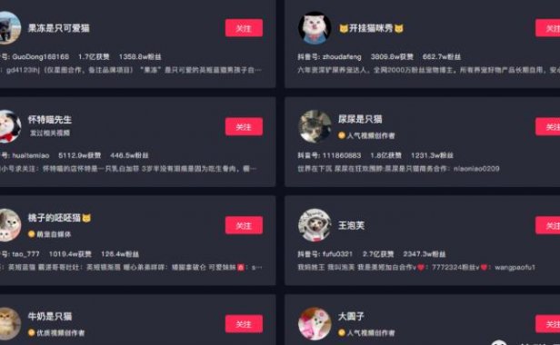 副业拍猫视频一公一母,日赚上万,人人可操作