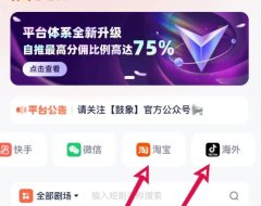 2024 年鼓象海外短剧:蓝海赛道的翻身机会,不容错过!