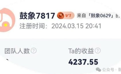 0基础带你了解鼓象如何变现!