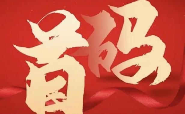 支付新品「金快付」首码,万10+2置顶招商!