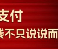 瑞升达2024猛揍版plus代理政策全面的解读