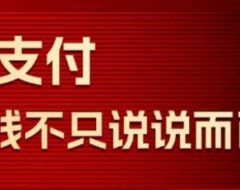 瑞升达2024猛揍版plus代理政策全面的解读