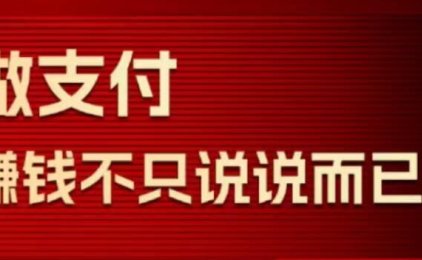 瑞升达2024猛揍版plus代理政策全面的解读
