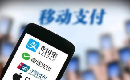 为什么要做支付,支付行业前景分析