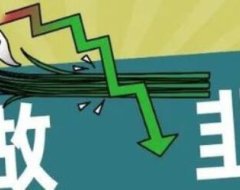 支付成了高危行业,不要收割下级,该发的分润都发了