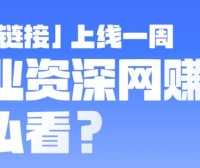 超级链接上线一周 行业资深网赚人怎么看?