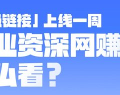 超级链接上线一周 行业资深网赚人怎么看?
