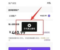 多位2.0支付百亿大佬被带走？某支付公司代理商平台被冻结分润无法提现