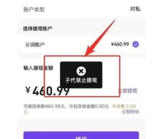 多位2.0支付百亿大佬被带走？某支付公司代理商平台被冻结分润无法提现