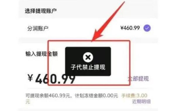 多位2.0支付百亿大佬被带走?某支付公司代理商平台被冻结分润无法提现